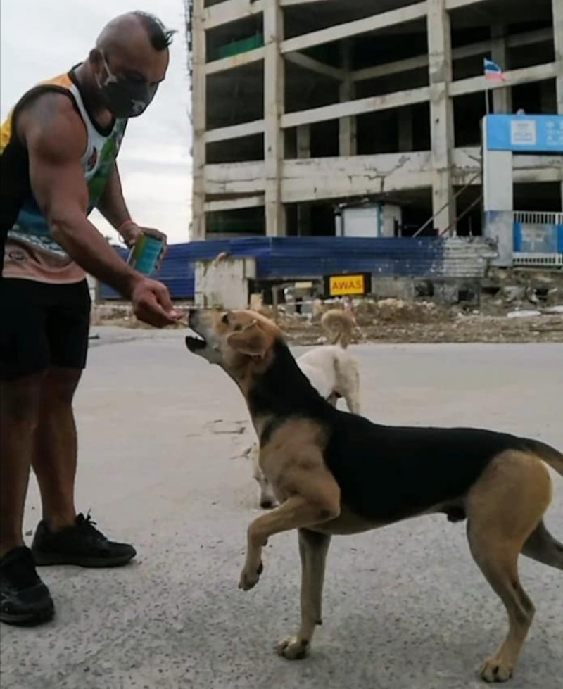 AJ Lias Mansor has been jobless since September last following the closure of his bodybuilding centre in Kota Kinabalu but that did not stop him from helping strays. u00e2u20acu201d Picture from Facebook/ AJ u00e2u20acu02dcPyrou00e2u20acu2122 Lias