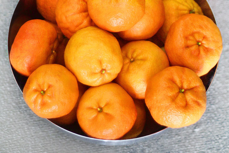 Have a surplus of mandarin oranges? Make a salad!