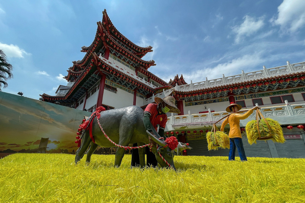 Visitors will be granted entrance in batches of 30 people per time, and limited to only 30 minutes per visit to pray and make their joss stick offering. u00e2u20acu201d Bernama pic 