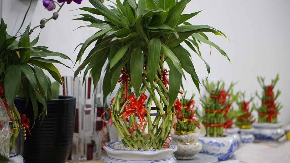 A pineapple shaped bamboo at Weng Hoa Flower Boutique in Kuala Lumpur. u00e2u20acu2022 Picture by Arif Zikri 