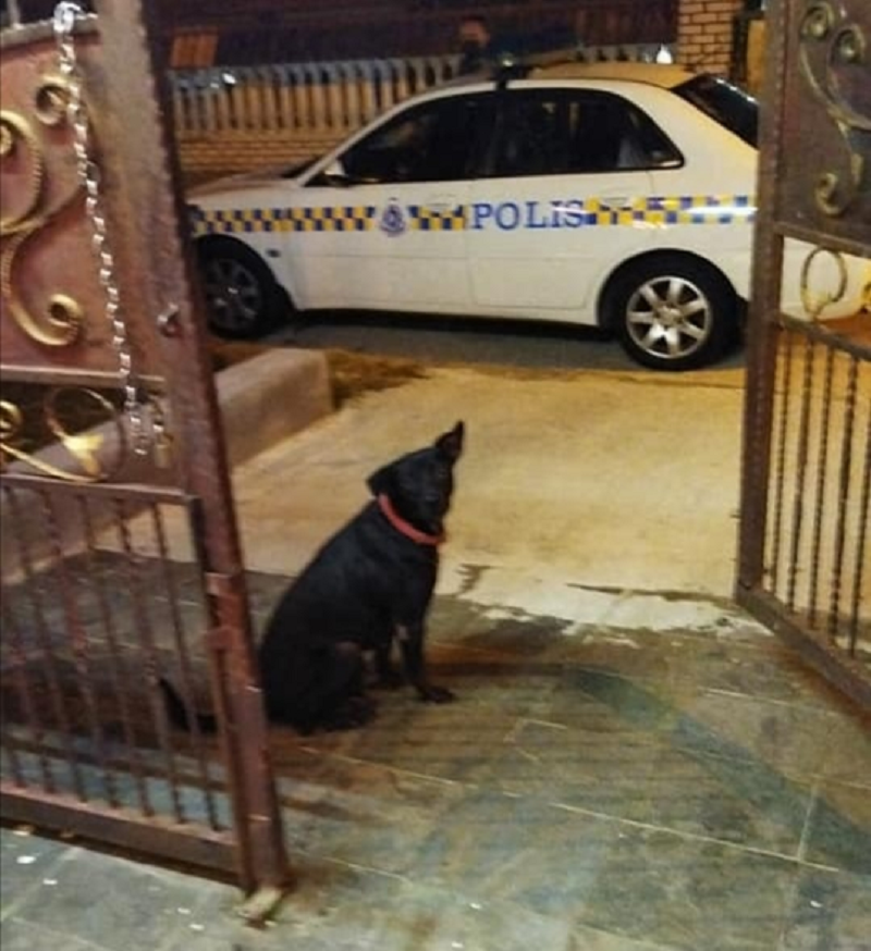 The dog's barking saved a Johor Baru woman from being raped. u00e2u20acu2022 Picture via Facebook/O Tak Tan