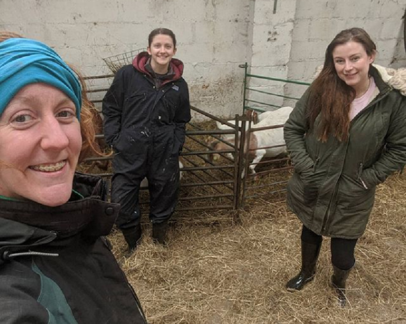 McCarthy’s goats have been on hundreds of video calls all over the world. ― Picture via Instagram/@cronkshawfold