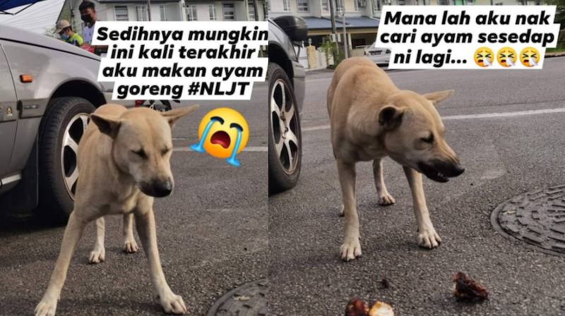 Mohd Ali gave Abang Long one last piece of fried chicken on his last day operating in Sarawak. — Picture via Instagram/@nasi_lemak_jambatan_tamparuli