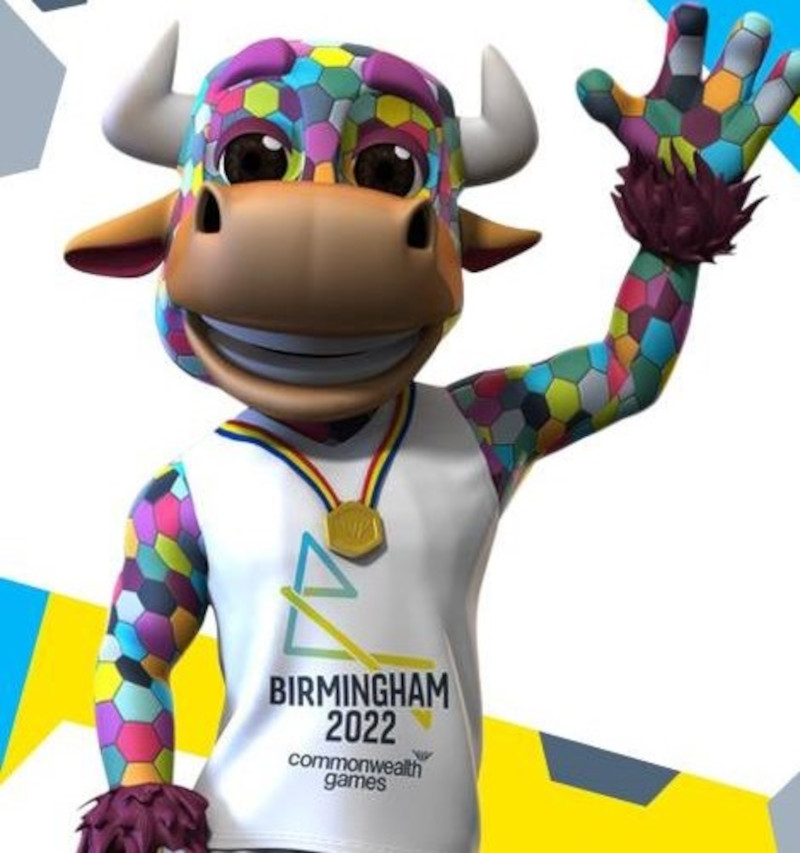 Perry the Bull adorned with patchwork of multi-coloured hexagons. — Picture from Facebook/Birmingham2022