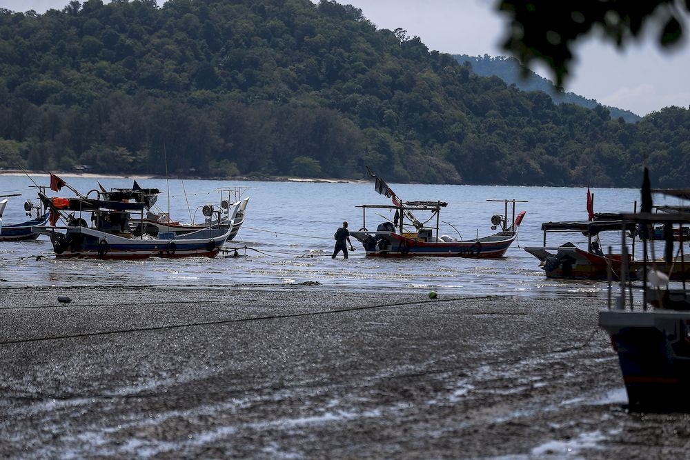 Villagers digging for clams and molluscs are seen on the at Gertak Sanggul near George Town on March 17, 2021. u00e2u20acu201d Picture by Sayuti Zainudin