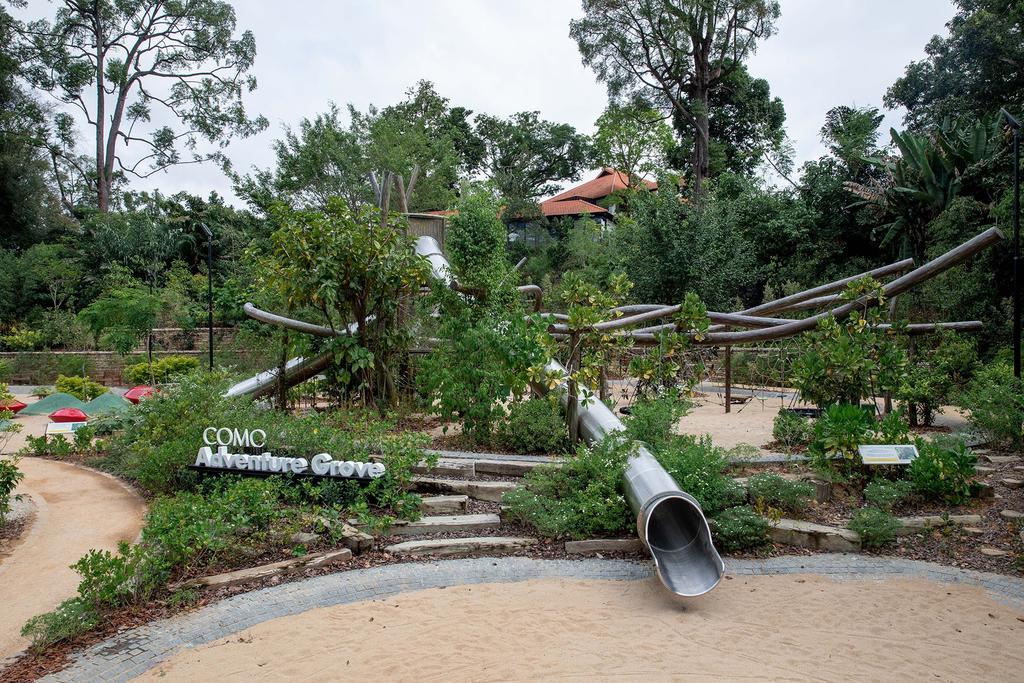 The Como Adventure Grove, one of the new features at the Singapore Botanic Gardens Gallop Extension. u00e2u20acu201d Picture by Illi Nadhirah Mansor for TODAY