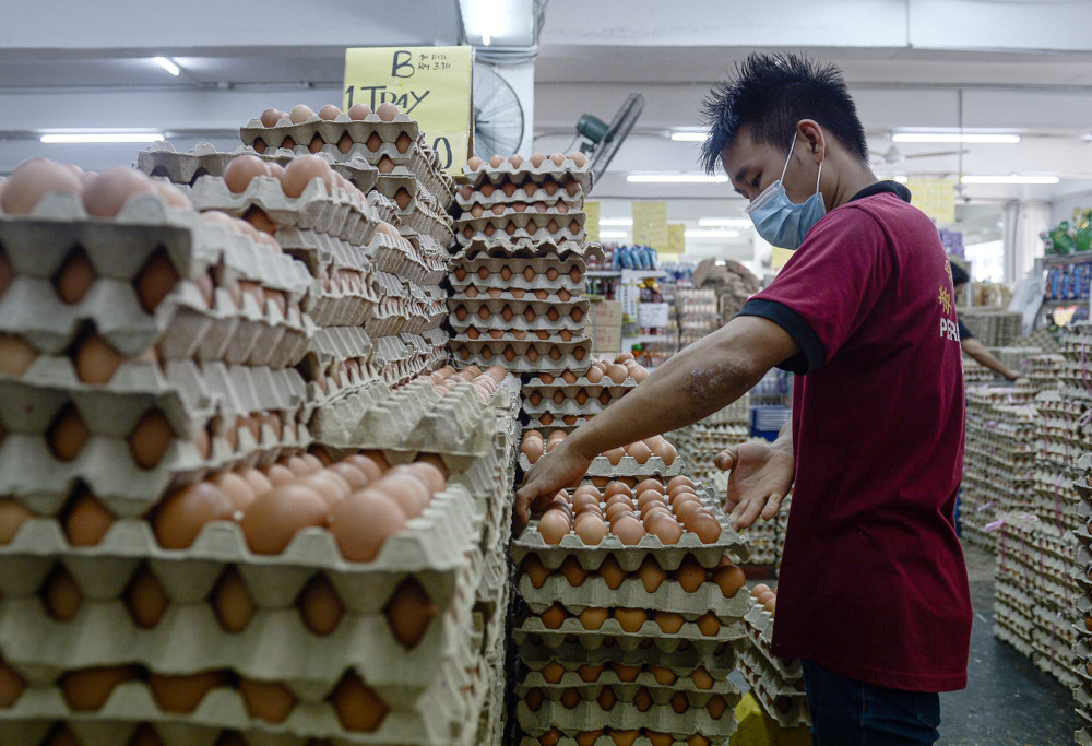 The Domestic Trade and Consumer Affairs Ministry advised consumers not to panic buy eggs following a report on the withdrawal of eggs produced by a Malaysian company from the Singapore market. u00e2u20acu201d Bernama pic 