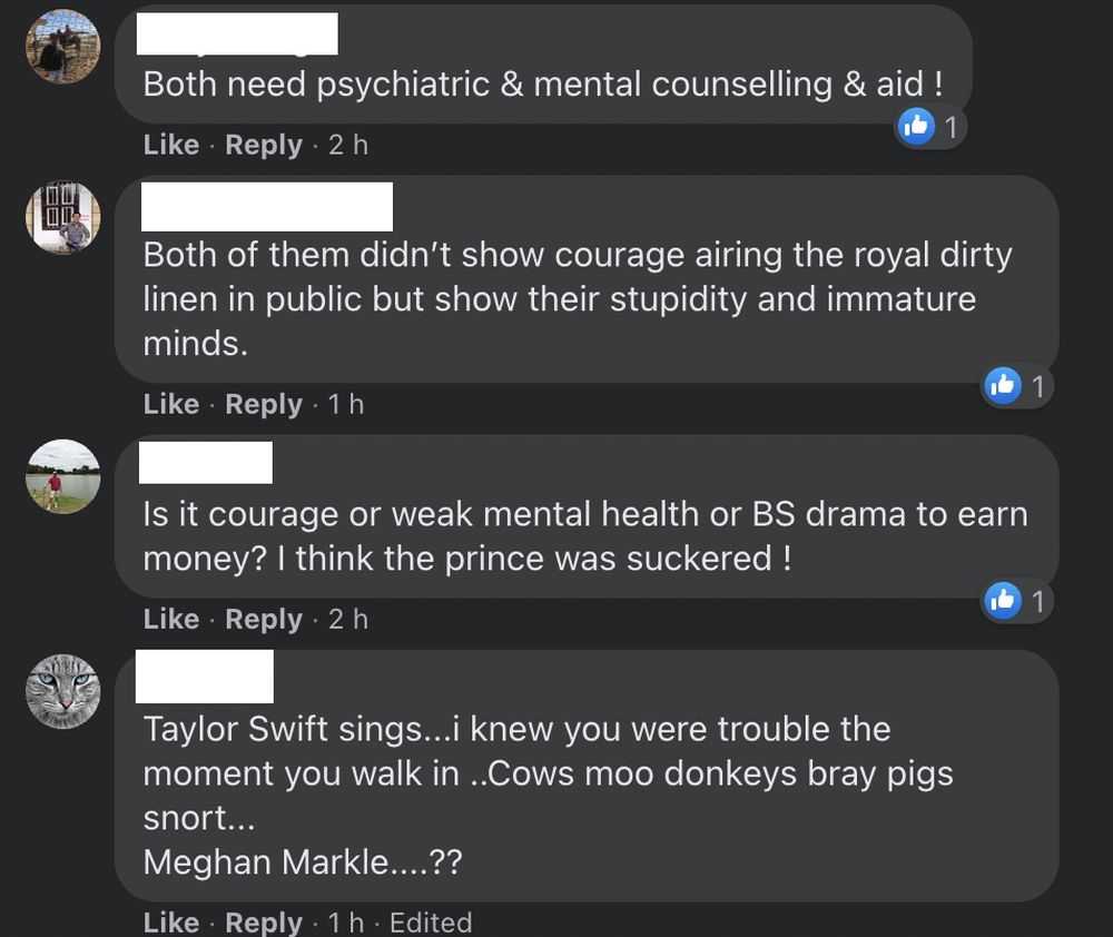 Why do Malaysians willingly cast aside civility and basic humanity when commenting online, even under their real names? — Facebook screenshot