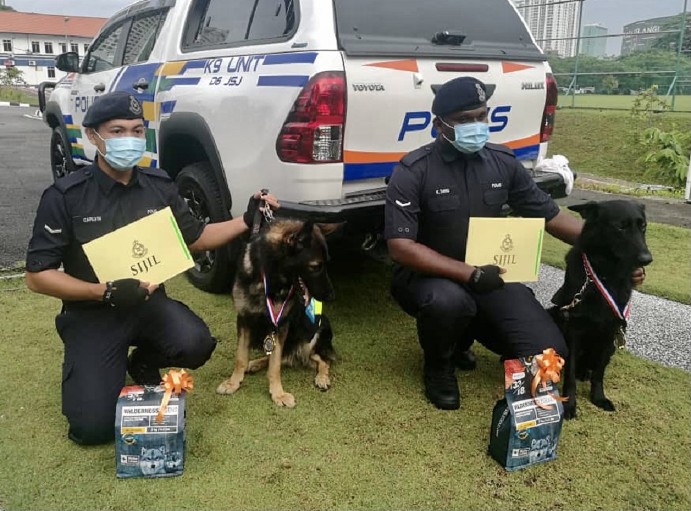 Johor police contingent K9 unit dog Barny and his handler Lance Corporal Calvin Maluni (left) with Mailo and his handler Lance Corporal K. Thiru (right) at the Johor police contingent headquarters in Johor Baru today. u00e2u20acu2022 Picture by Ben Tan