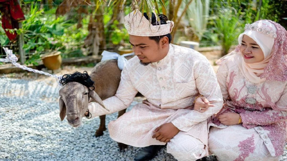 A Kelantan man has become the talk of the town for gifting his pet goat to his childhood friend during his wedding. u00e2u20acu201d Picture via Facebook/ Super Studio