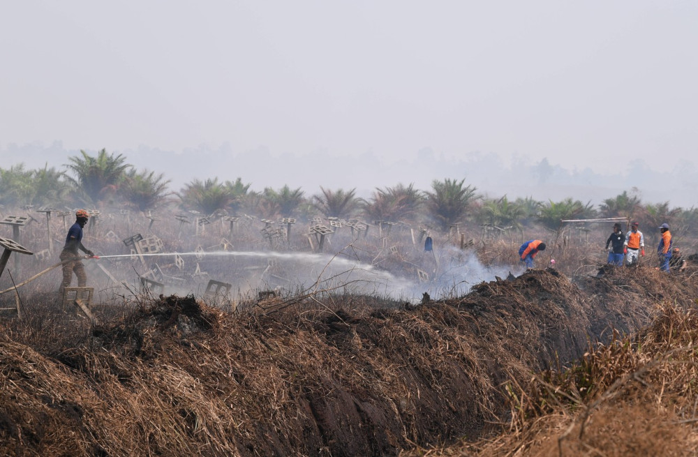 Fire and Rescue Department personnel putting out the fire at the Kuala Langat Selatan forest reserve March 2, 2021. u00e2u20acu201d Bernama pic 