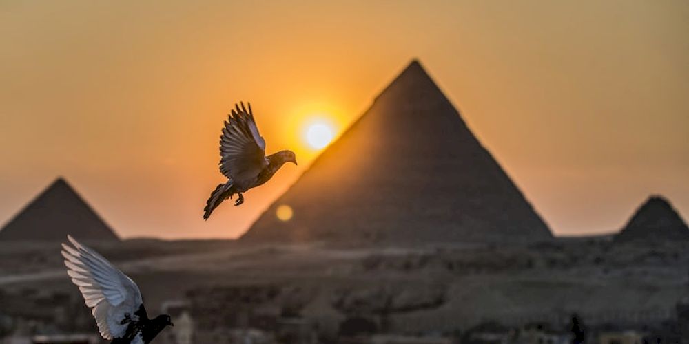 Pigeons fly in the sky above the Egyptian capitalu00e2u20acu2122s twin city of Giza. u00e2u20acu201d AFP pic
