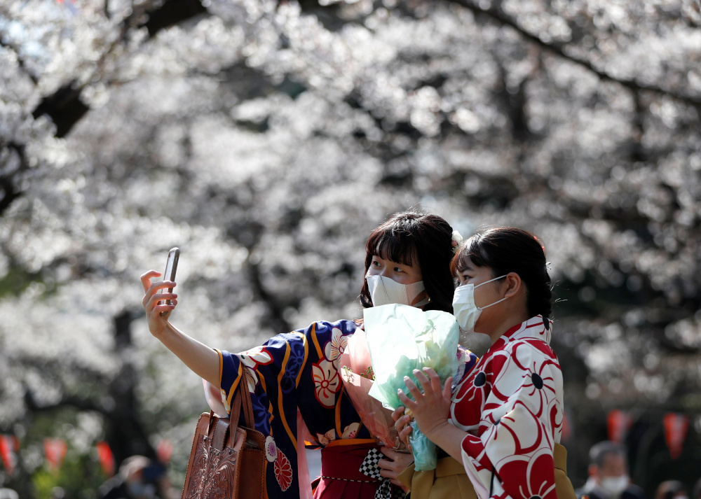 Kimono-clad women wearing protective face masks take selfie photos among blooming cherry blossoms amid the coronavirus disease (Covid-19) pandemic, at Ueno Park in Tokyo March 23, 2021. u00e2u20acu201d Reuters pic