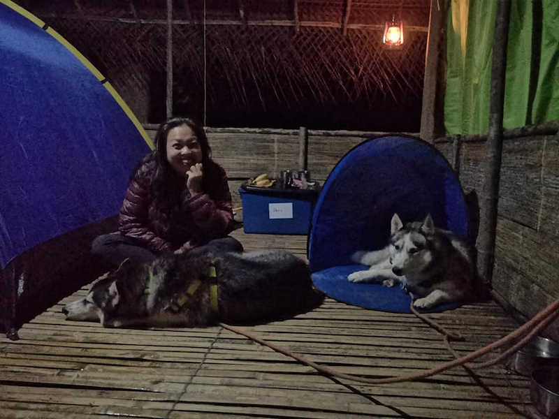 Penangite Jady Ong started feeding and rescuing strays after taking in two dogs. u00e2u20acu201d Picture via Facebook/Jady Ong