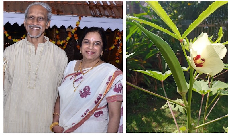 Beena and Sivalal will be presenting vegetable seedlings to their grandchildren for this year's Vishu celebration. u00e2u20acu201d Picture courtesy of Sivalal Sadasivan