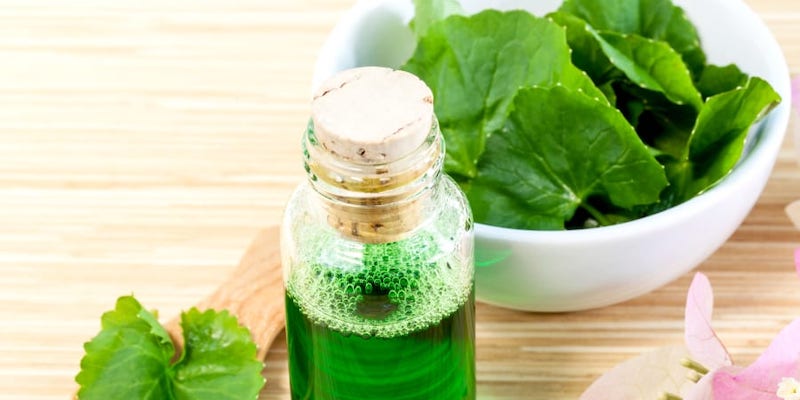 Taken internally or applied to skin, Centella Asiatica may help treat certain wounds, improve venous disorders, promote healing and even combat anxiety. u00e2u20acu201d Picture courtesy of kerdkanno/ IStock.com
