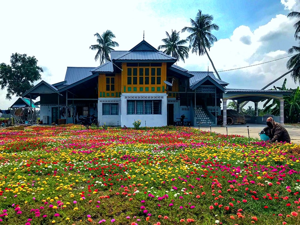 Linda and her family are now spending time pruning the roses and maintaining the garden. u00e2u20acu201d Picture courtesy of Linda Sanusi