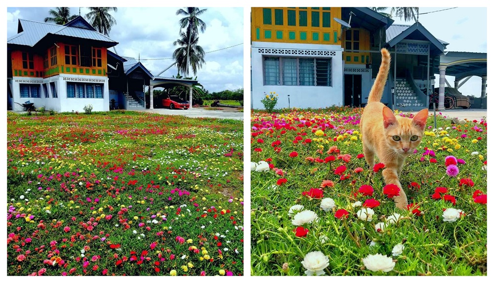 View from outside Linda’s home with the garden filled with colourful flowers. — Picture courtesy of Linda Sanusi