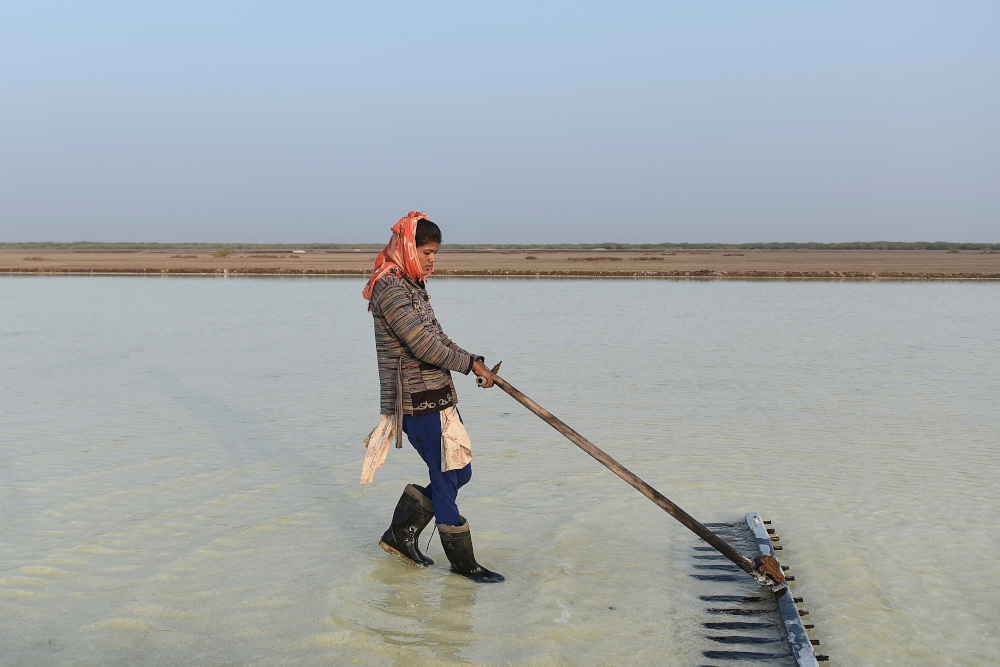Roshni Thakor left school to harvest salt from a sun-baked Indian desert, a backbreaking trade practised by her ancestors for centuries but now threatened by climate change. u00e2u20acu201d AFP pic