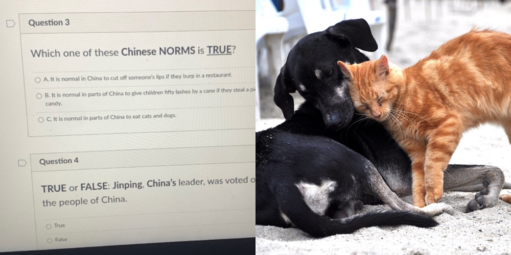 The incident has sparked an investigation by the school district. u00e2u20acu201d Pictures via Twitter/joyjuheelim and Pixabay