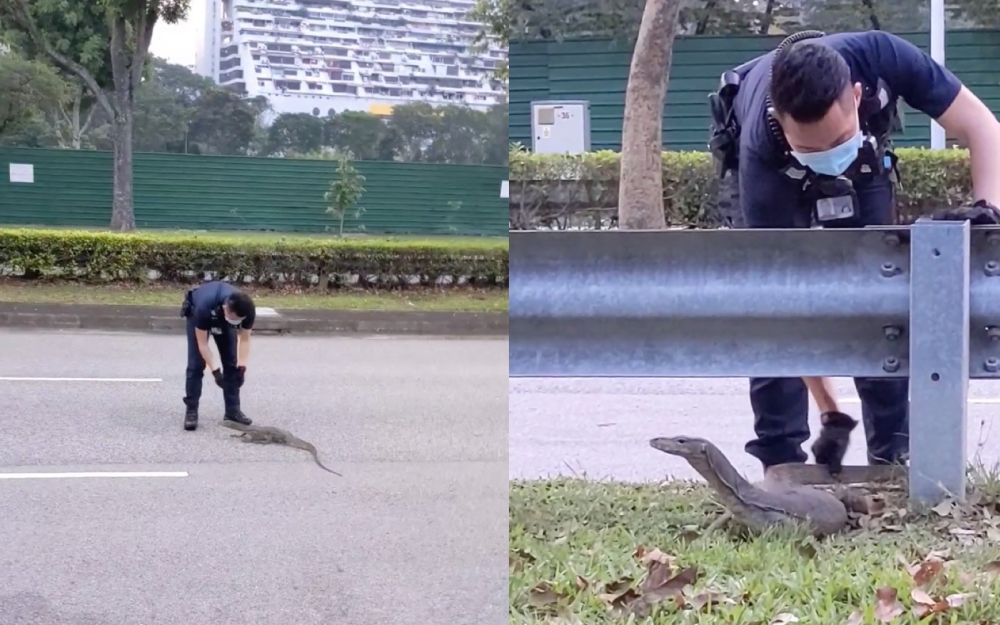 The police officers were saluted online for saving the wild creature. u00e2u20acu201d Screengrabs via Facebook/JustKeepThinkingsg