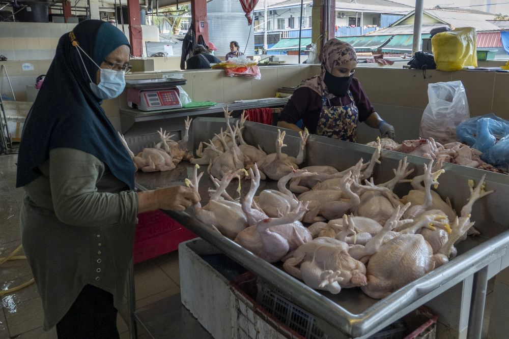 A woman looks at chicken for sale at the Petaling Jaya wet market April 20, 2021. u00e2u20acu201d Picture by Miera Zulyana