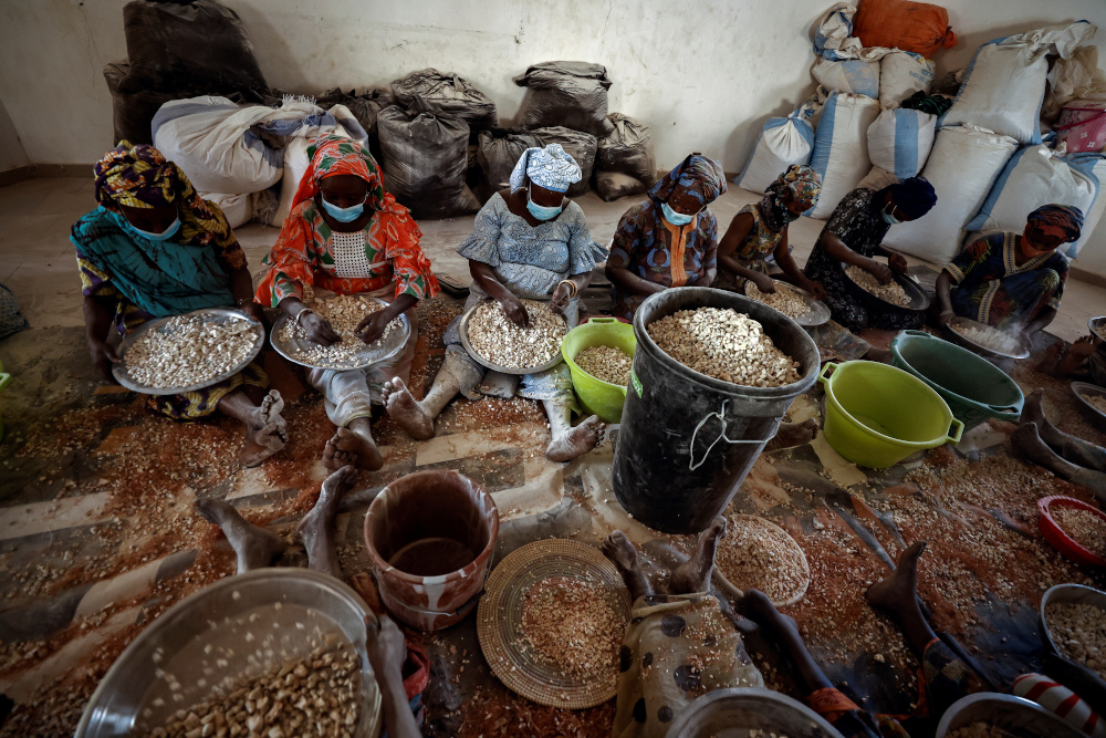 Local women process baobab fruit pulp into powder at a workshop that belongs to Baye fall community, a branch of the Muslim Mouride brotherhood, in Ndem, Senegal April 6, 2021. — Reuters pic 