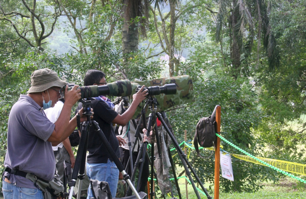 Birdwatchers and photographers gather at Taiping Lake Gardens to record the male hoopoe bird feeding the female, April 22, 2021. u00e2u20acu201d Bernama pic 