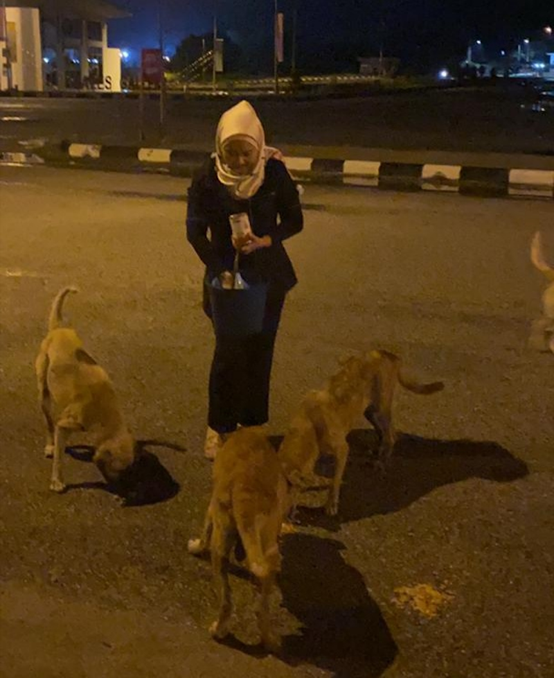 Besides feeding strays at Pasir Pinji market, beauty consultant Nazirah Abd Rahman also feeds abandoned dogs at Bukit Merah in Menglembu. u00e2u20acu201d Photo courtesy of Nazirah Abd Rahman