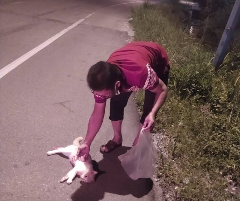 Grandmother Ramlah Darus has been stocking up on seafood to enable her to continue feeding strays at Tanjung Rambutan market on Hari Raya. — Photo courtesy of Ramlah Darus