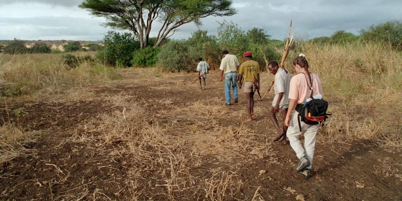This research involved monitoring 100 tropical forests located in six African countries (Congo, Gabon, Cameroon, Ghana, Liberia, Republic of Congo). u00e2u20acu201d Picture courtesy of milehightraveler / Istock.com