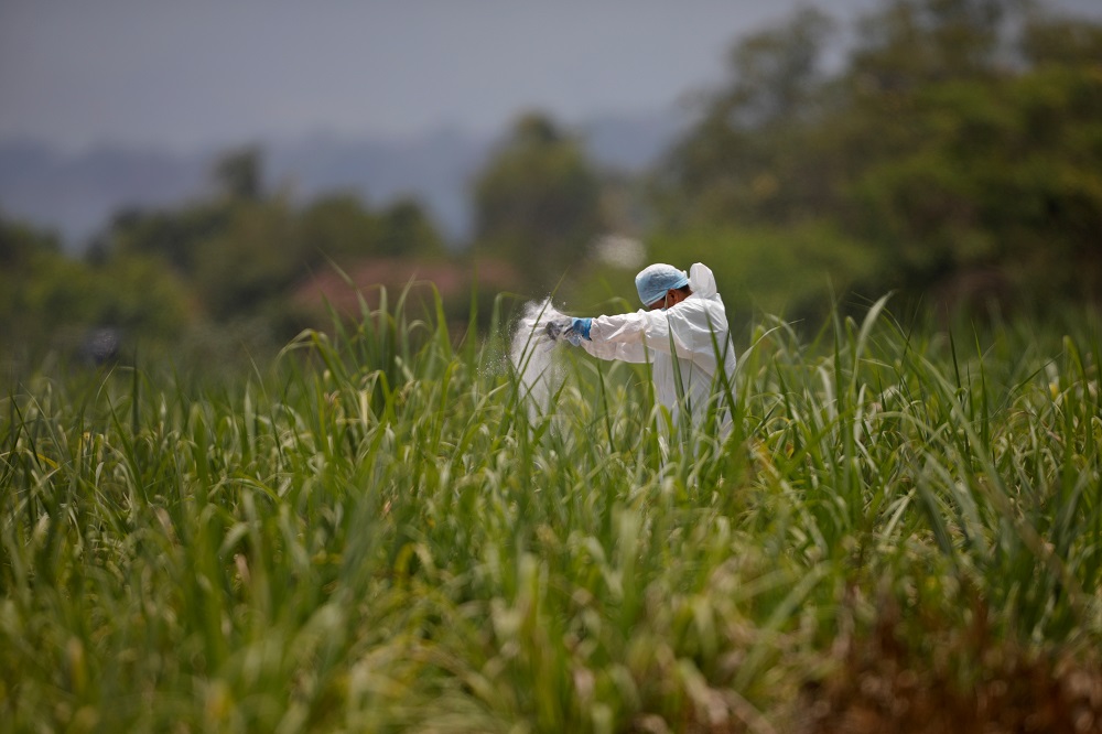 A forensic expert throws lime on discarded protective equipment used where authorities are excavating a clandestine cemetery discovered at the house containing many bodies in Chalchuapa, El Salvador May 21, 2021. u00e2u20acu201d Reuters pic