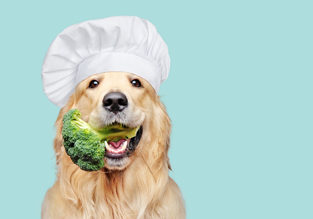The demand for vegetarian products for dogs is growing. u00e2u20acu201d Shutterstock pic via ETX Studio