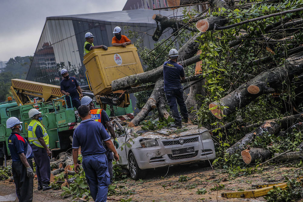 Pictures on social media showed that the fallen tree obstructed the entire width of the road heading towards the city centre while protruding tree branches also covered the right lane of the opposite side. — Picture by Hari Anggara