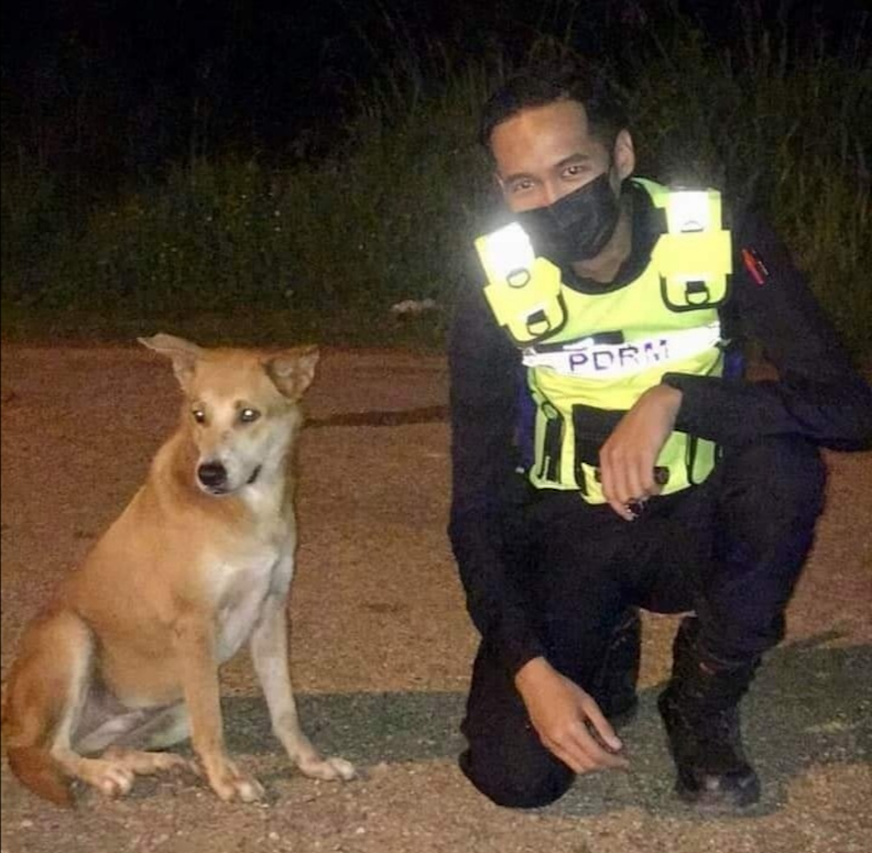 Three policemen from Kota Tinggi district have won social media praise after they helped a stray dog to get treated following an accident. u00e2u20acu201d Photo via Facebook/ Kuan Chee Heng 