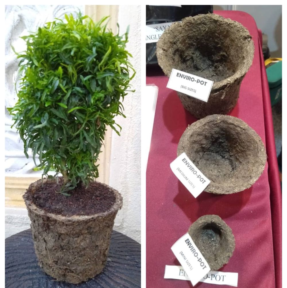 Karthikgesan's winning inventions include his biodegradable pots that come in various sizes. — Picture courtesy of Karthikgesan Santharasekaran 