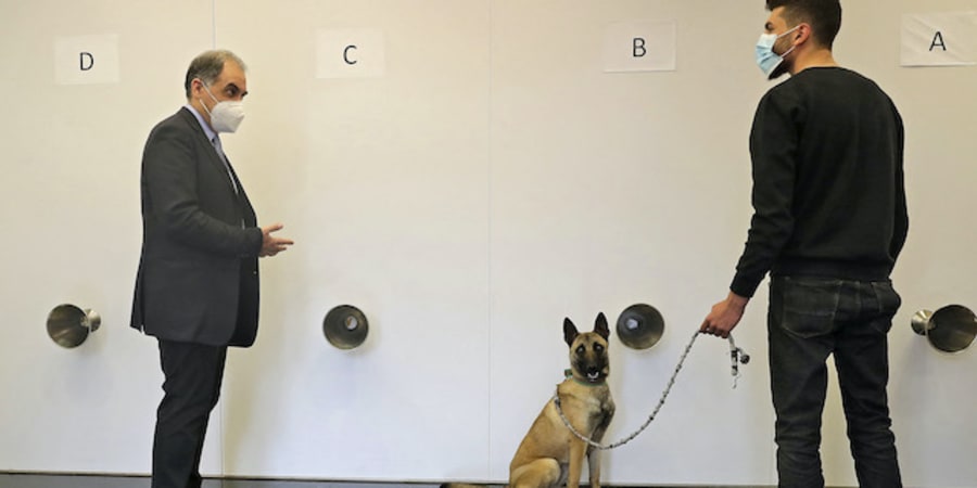 Lebanese doctor Riad Sarkis (left) supervises the training process of a Covid-19 sniffer dog at a facility in Lebanon's capital Beirut. u00e2u20acu201d ETX Studio picnn