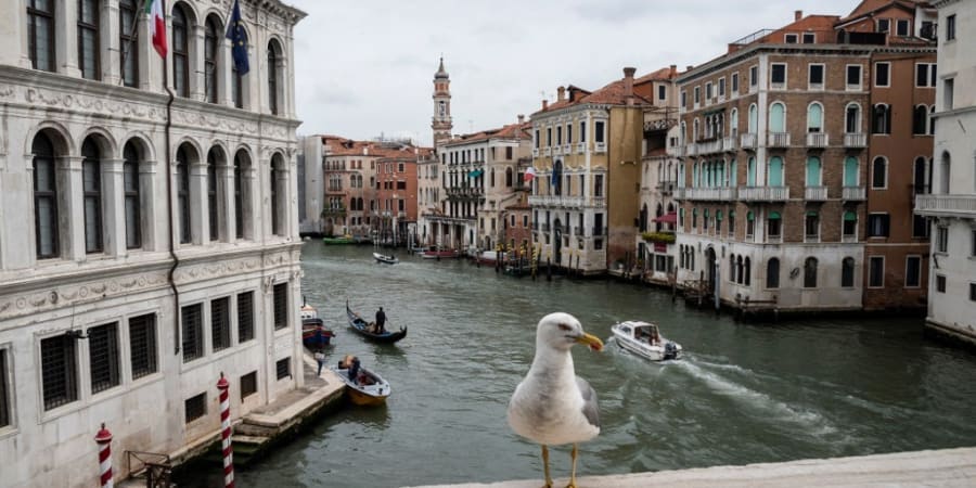 A seagull stands on the Rialto Bridge in Venice, on May 21, 2021. u00e2u20acu201d ETX Studio picnn