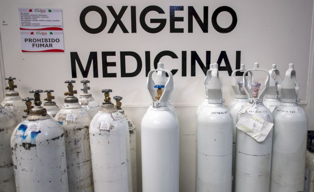 A research team is hoping a technique seen in other mammals could eventually be used for humans in respiratory distress. u00e2u20acu201d AFP pic