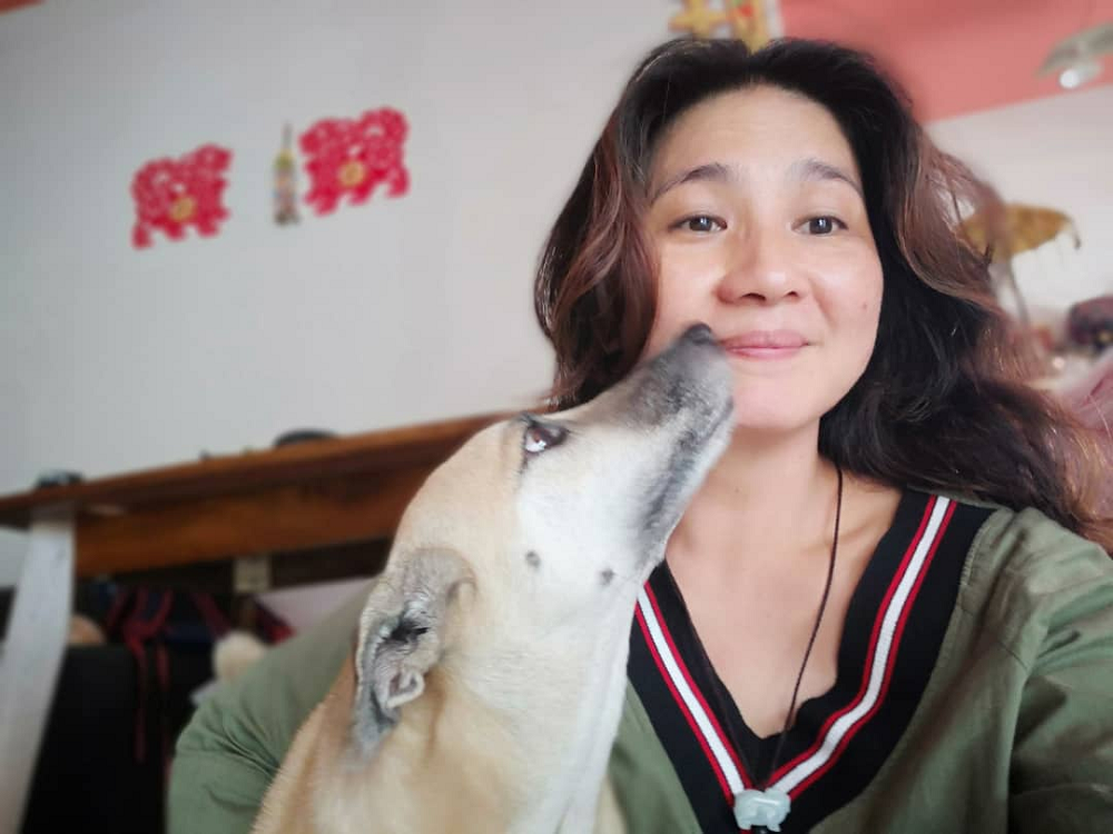 Animal rescuer Mel Lee puts all her rescue on adoption at Petfinder. u00e2u20acu2022 Picture courtesy of Mel Lee