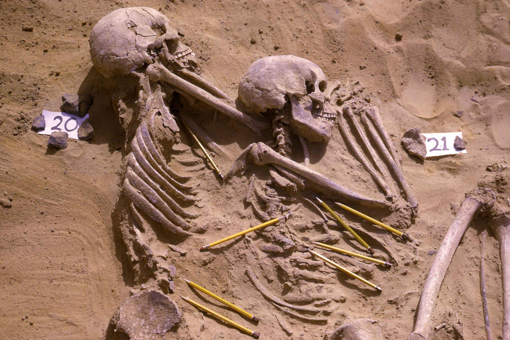 The double burial of individuals identified as JS 20 and JS 21 from among the 13,400-year-old Jebel Sahaba remains from Sudan, some of the earliest evidence of human warfare. u00e2u20acu201d Wendorf Archives of the British Museum handout pic via Reuters