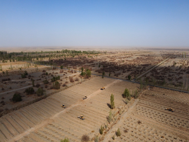 Wheel loaders move soil to prepare a field for tree planting, at one of the sections of the Yangguan state-backed forest farm, on the edge of the Gobi desert, on the outskirts of Dunhuang, Gansu province, China April 13, 2021. — Reuters pic