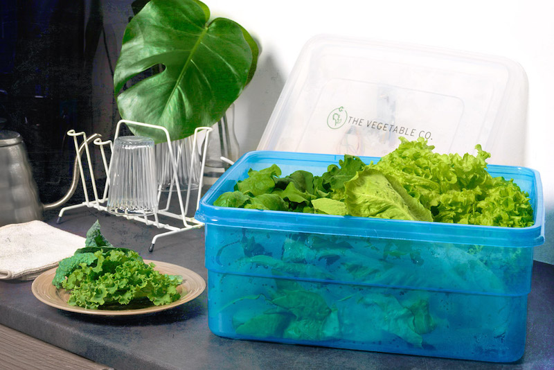 The Vegetable Co. aims to deliver fresh greens within three to four hours after harvest to their customers. — Picture courtesy of The Vegetable Co.