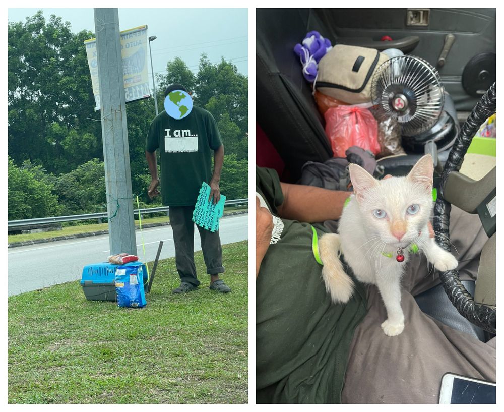 Shahrul has had Puteri (white cat) as his loyal companion since the past month. Picture via Twitter/@mohamadfarisss