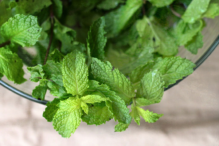 Mint leaves impart a cool sweetness to every drink.