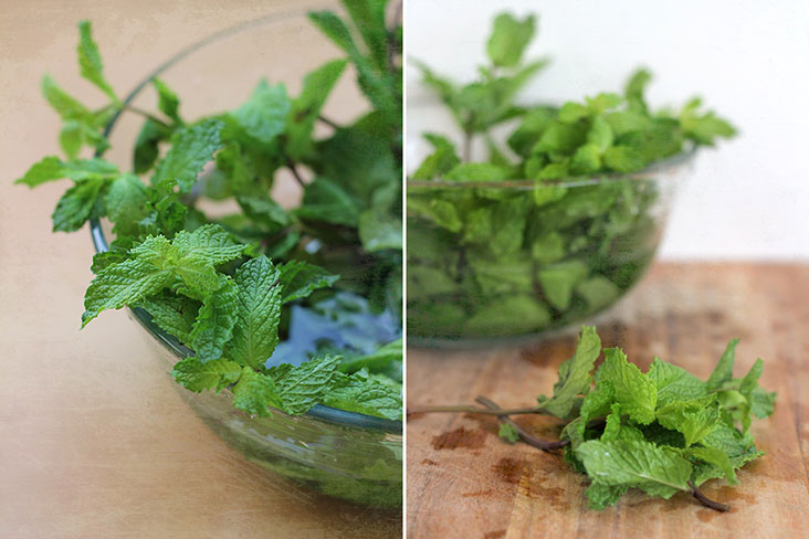 Wash and drain your mint leaves before using them.