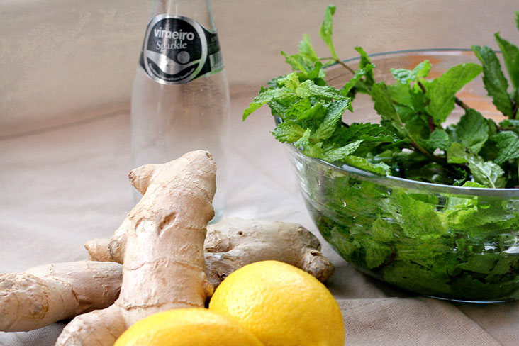 These minty ice cubes were inspired by chilled sparkling water during a European summer.