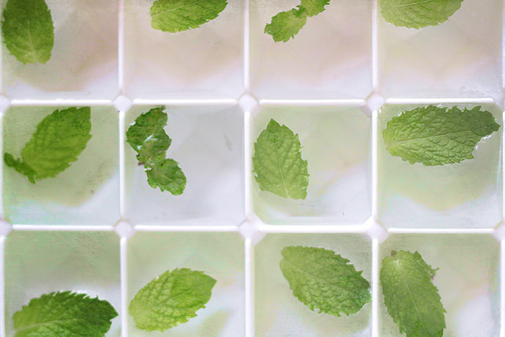Ready whenever you need them: A tray of minty ice cubes.