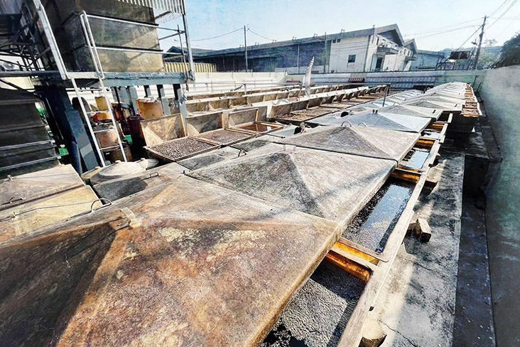 Premium Canadian non-GMO soy beans with garlic ageing under the sun.