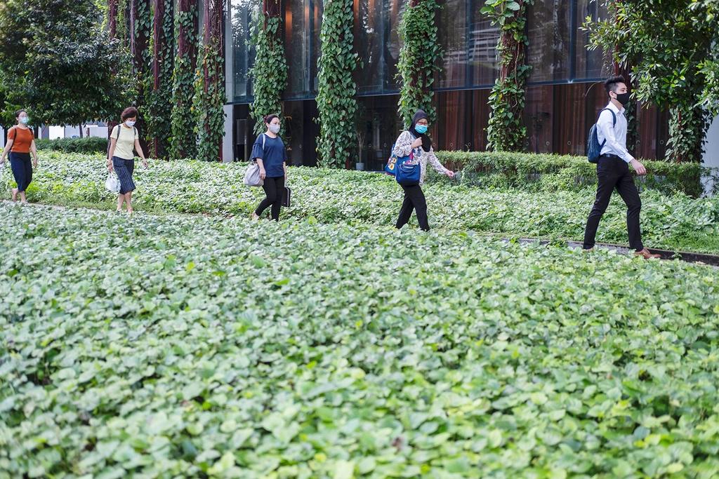 Until Covid-19 can be treated like a commonly occurring disease such as influenza, people will still have to take the necessary precautions and safeguards such as maintaining a safe distance from each other and wearing masks. u00e2u20acu2022 TODAY pic